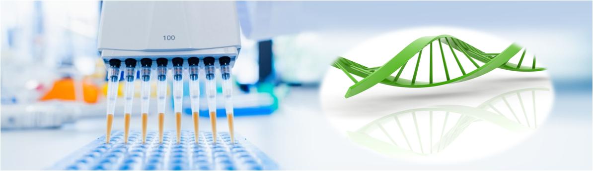 Oligo-DNA 偶聯試劑盒
